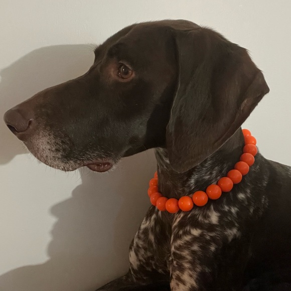 Handcrafted Beaded Dog Collar - Hunter - Neon Orange Acrylic Beads - Picture 5 of 13